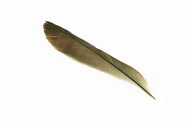 feather