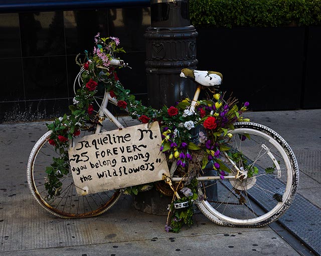 forever among the wild flowers